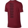 Air Jordan Engineered For Flight Dri-FIT T-Shirt - 801046-687