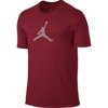 Air Jordan Engineered For Flight Dri-FIT T-Shirt - 801046-687