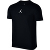 Air Jordan Dry Future 1 T-Shirt  - 862417-011