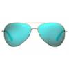 Polaroid Sunglasses - PLD6012/N