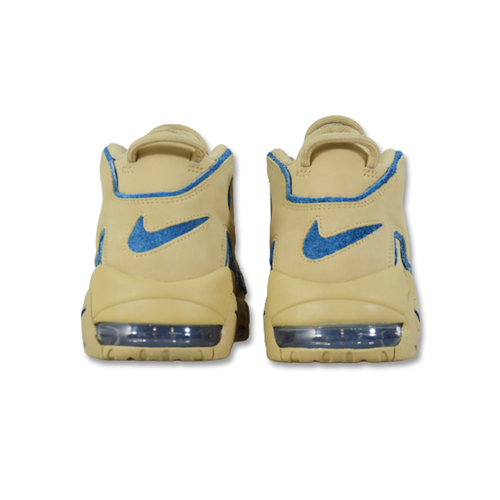 Nike Air Uptempo - DV6993-200