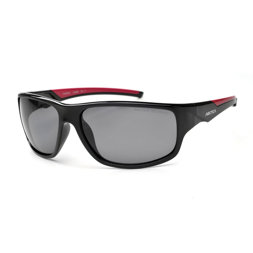 Arctica Phoenix polarized lenses - S-256A
