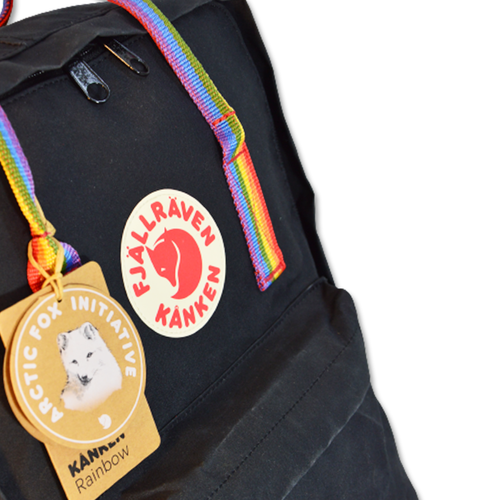 Plecak Fjallraven kanken 16L Rainbow Pattern F23620-550-907