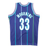 Mitchell & Ness NBA Charlotte Hornets Alonzo Mourning Swingman Jersey - SMJYAC18010-CHOPURP94AMO