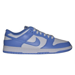 Chaussures de sport pour hommes Nike Dunk LOW RETRO Polar Blue - DV0833-400