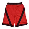 Spodenki sportowe Air Jordan Boys Flight 5 Lite czerwone - 955941-R78