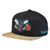 Charlotte Hornets