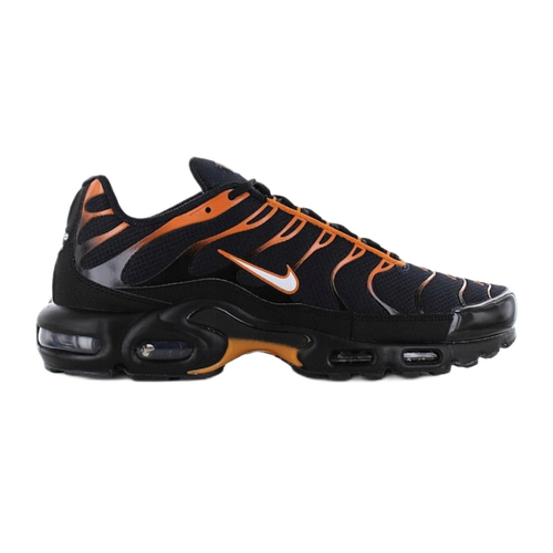 Nike Air Max Plus Black - FN6949-400
