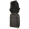 Plecak miejski na laptopa Ogio Rebel Ombre Tan - 111071.317