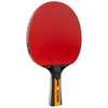 Table tenis paddel Joola Carbon Control - 54190