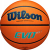 Wilson EVO NXT Champions League Ball - WTB0900XBBCL