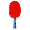 METEOR Mistral Table Tennis - 15017