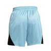 Spodenki Nike Isofly Shorts Wmns - DH7363-494