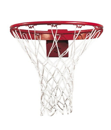Sure Shot 277 Flex Pro Image Tilting Basketball Hoop