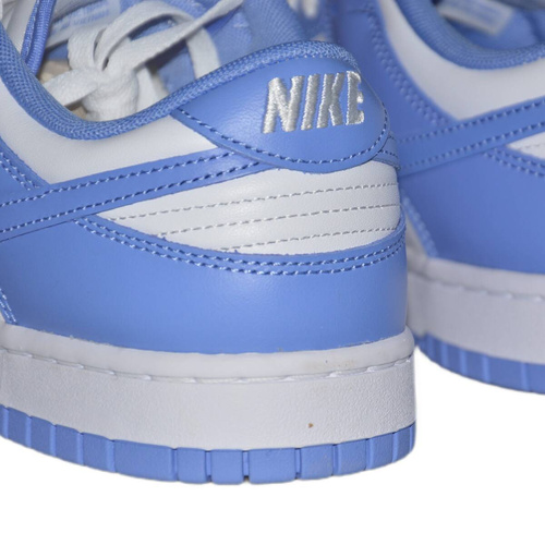 Chaussures de sport pour hommes Nike Dunk LOW RETRO Polar Blue - DV0833-400