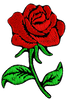 Nášivka na oblečení Rose Růže