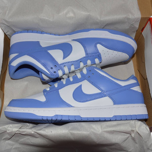 Chaussures de sport pour hommes Nike Dunk LOW RETRO Polar Blue - DV0833-400