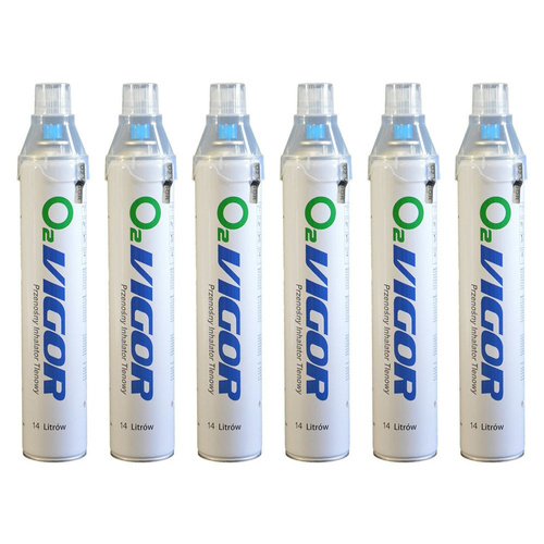Portable 99% Oxygen Inhaler O2 Vigor 14 l