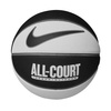 Nike Everyday All Court 8P Indoor Outdoor Basketball + Nike Pump