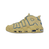 Nike Air Uptempo - DV6993-200