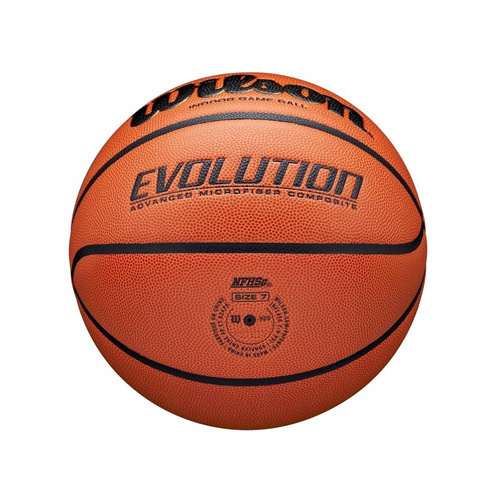 Wilson Evolution Evolution Indoor / Outdoor Basketball - WTB0516XBEMEA