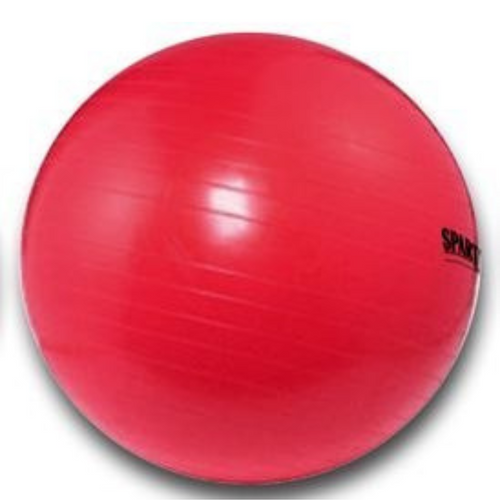 Gym Bälle Spartan 95 cm - 53