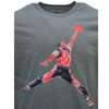 Koszulka Sportowa Air Jordan Brand Graphic T-shirt Męska Szara- FN5980-091