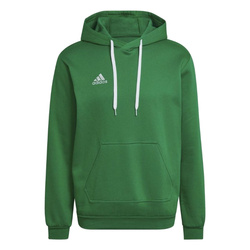 Adidas Entrada 22 Sweat Men's Green Hoodie - HI2141